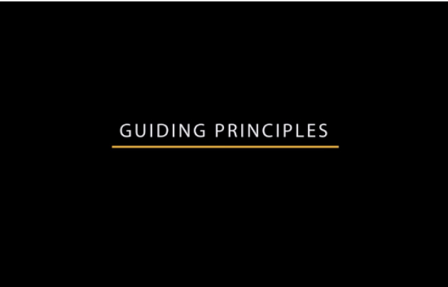 Guiding Principles